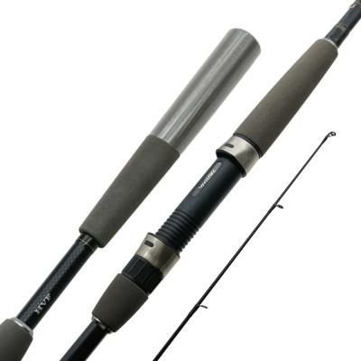 Спиннинг Daiwa Exceler