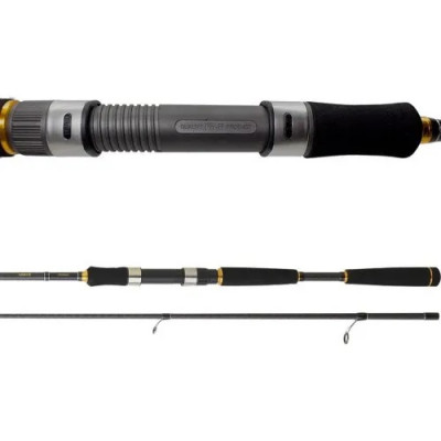 Спиннинг Daiwa Legalis Seabass длина 2,9м тест 14-42гр