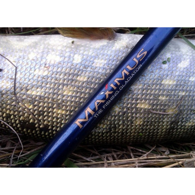 Спиннинг джерковый Maximus Destroyer-S Jerkbait 15H длина 1,5м тест 20-80гр