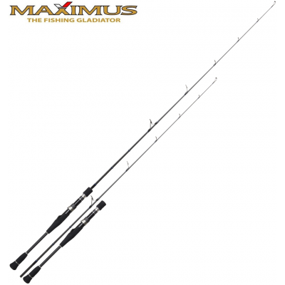 Спиннинг джерковый Maximus Destroyer-X Jerkbait 15H длина 1,5м тест 20-80гр