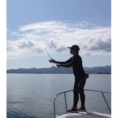 Спиннинг Yamaga Blanks Early for Boat 68M длина 2,55м тест 7-32гр