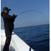 Байткастинговый спиннинг Yamaga Blanks SeaWalk Light Jigging B66L длина 1,98м тест 40-80гр